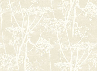 Cow Parsley Wallcovering by Cole & Son 