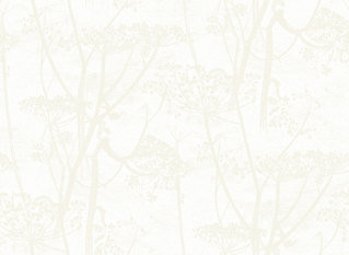 Cow Parsley Wallcovering by Cole & Son 