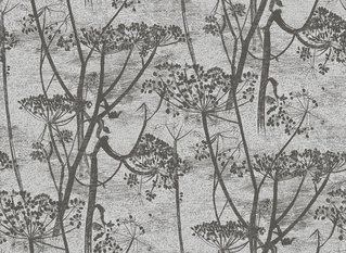 Cow Parsley Wallcovering by Cole & Son 