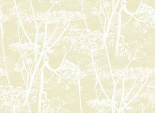 Cow Parsley Wallcovering by Cole & Son 