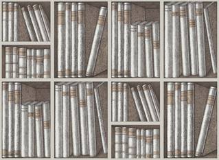 Ex Libris Wallcovering by Cole & Son 