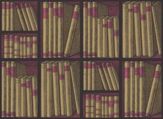 Ex Libris Wallcovering by Cole & Son 
