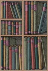 Ex Libris Wallcovering by Cole & Son 