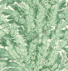 Florencecourt Wallcovering by Cole & Son 