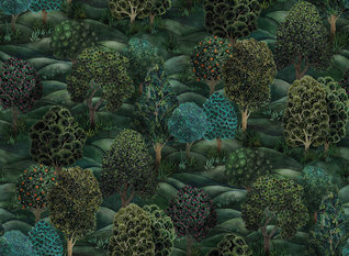 Forest Wallcovering by Cole & Son 