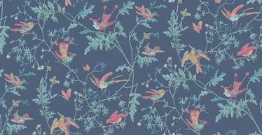 Hummingbirds Wallcovering by Cole & Son 