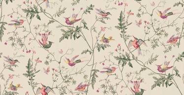 Hummingbirds Wallcovering by Cole & Son 