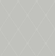 Large Georgian Rope Trellis Wallcovering by Cole & Son 