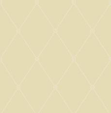 Large Georgian Rope Trellis Wallcovering by Cole & Son 