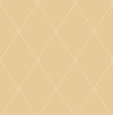 Large Georgian Rope Trellis Wallcovering by Cole & Son 