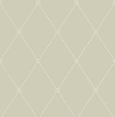 Large Georgian Rope Trellis Wallcovering by Cole & Son 