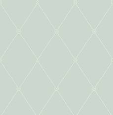 Large Georgian Rope Trellis Wallcovering by Cole & Son 