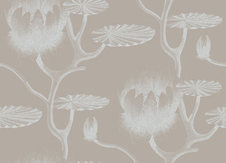 Lily Wallcovering by Cole & Son 