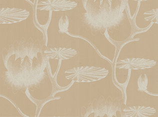 Lily Wallcovering by Cole & Son 