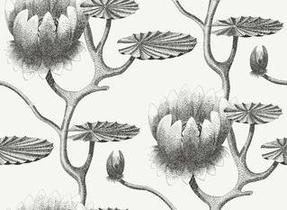 Lily Wallcovering by Cole & Son 