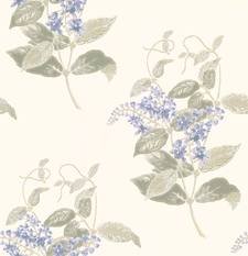 Madras Violet Wallcovering by Cole & Son 