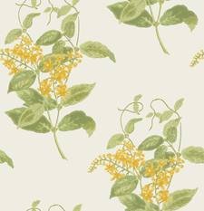 Madras Violet Wallcovering by Cole & Son 