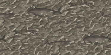 Melville Wallcovering by Cole & Son 