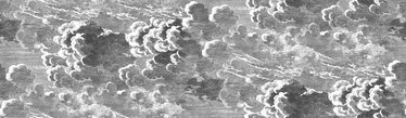 Nuvolette (2 roll set) Wallcovering by Cole & Son 