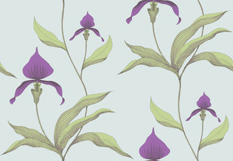 Orchid Wallcovering by Cole & Son 