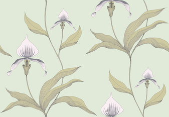 Orchid Wallcovering by Cole & Son 