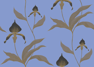 Orchid Wallcovering by Cole & Son 