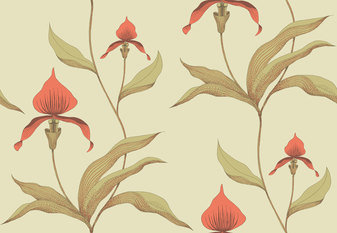 Orchid Wallcovering by Cole & Son 