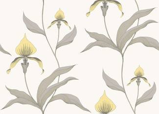 Orchid Wallcovering by Cole & Son 