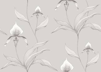 Orchid Wallcovering by Cole & Son 