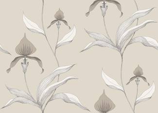 Orchid Wallcovering by Cole & Son 