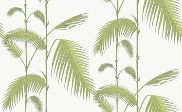 Palm Leaves Wallcovering by Cole & Son 