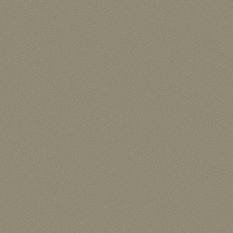 Pebble Wallcovering by Cole & Son 
