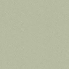 Pebble Wallcovering by Cole & Son 
