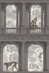 Procuratie con Vista Wallcovering by Cole & Son 