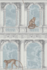 Procuratie con vista Wallcovering by Cole & Son 