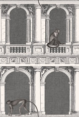 Procuratie e Scimmie Wallcovering by Cole & Son 
