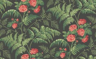 Rose Wallcovering by Cole & Son 
