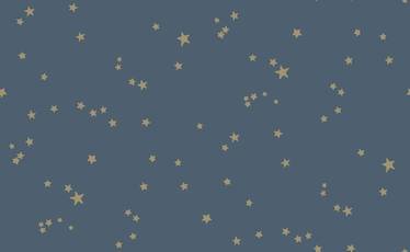 Stars Wallcovering by Cole & Son 