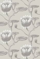 Summer Lily Wallcovering by Cole & Son 