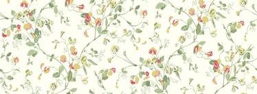 Sweet Pea Wallcovering by Cole & Son 