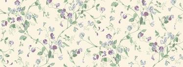Sweet Pea Wallcovering by Cole & Son 