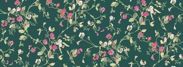 Sweet Pea Wallcovering by Cole & Son 