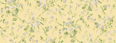 Sweet Pea Wallcovering by Cole & Son 