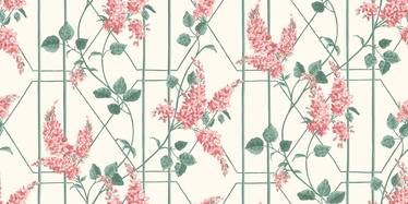 Wisteria Wallcovering by Cole & Son 