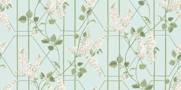 Wisteria Wallcovering by Cole & Son 