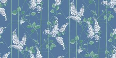 Wisteria Wallcovering by Cole & Son 
