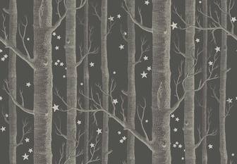 Woods & Stars Wallcovering by Cole & Son 