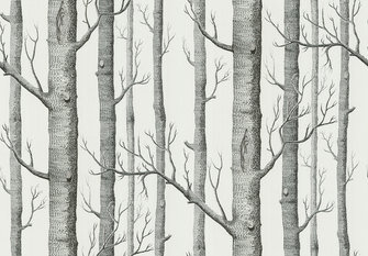 Woods Wallcovering by Cole & Son 