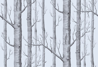Woods Wallcovering by Cole & Son 