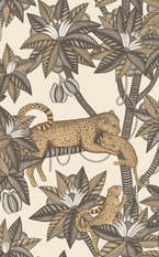 Satara Wallcovering by Cole & Son 